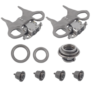 DCT250/DC4 Fork Set with Bearing (BS-5140021100)